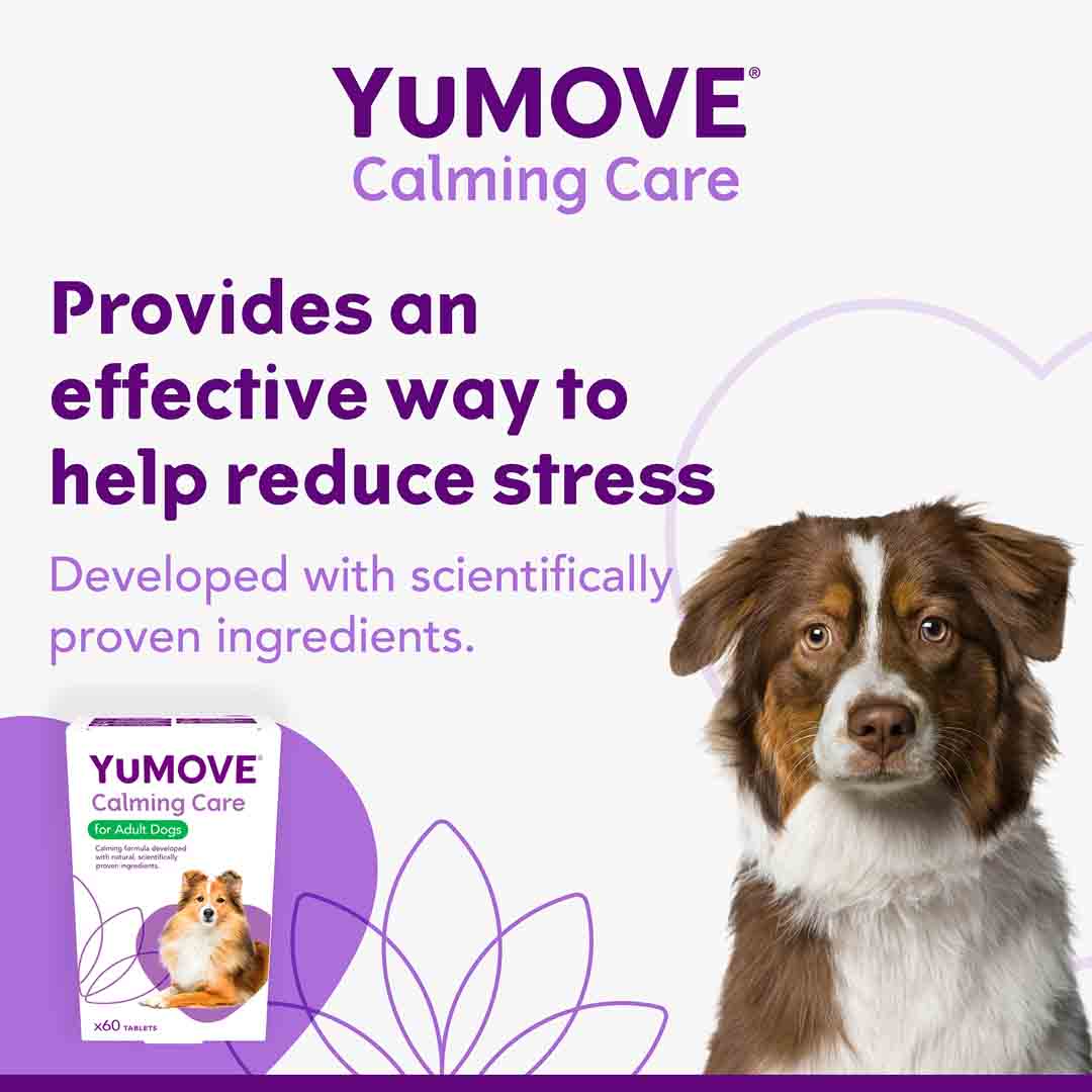Yumove Calming Care Supplement for Adult Dogs, 60 Tablets