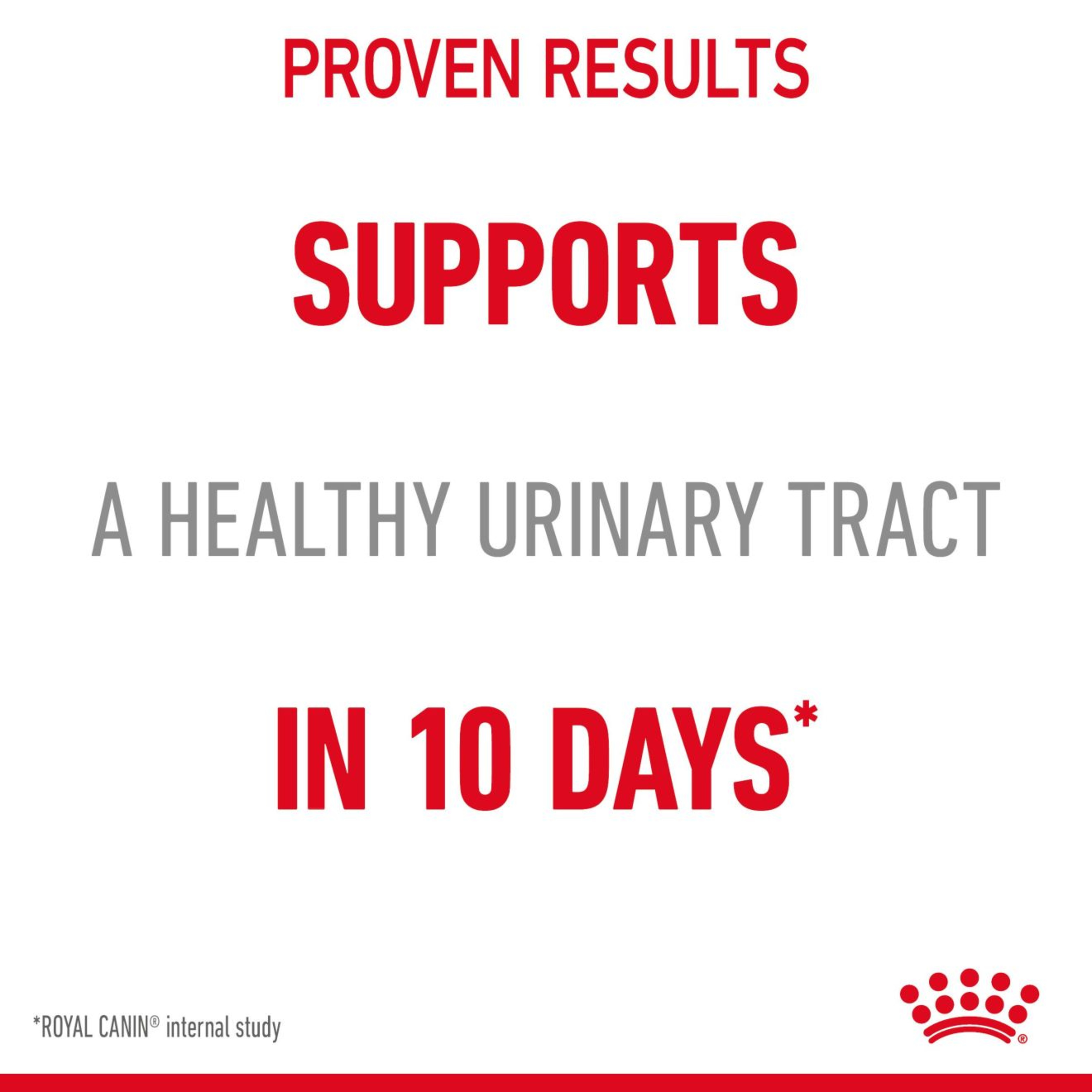 Royal Canin Urinary Care Wet Cat Food in Gravy 48x85g