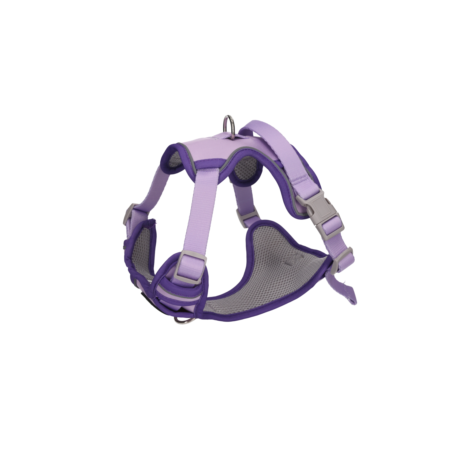 Rufus & Rosie Dog Harness & Lead Set Lilac, Medium