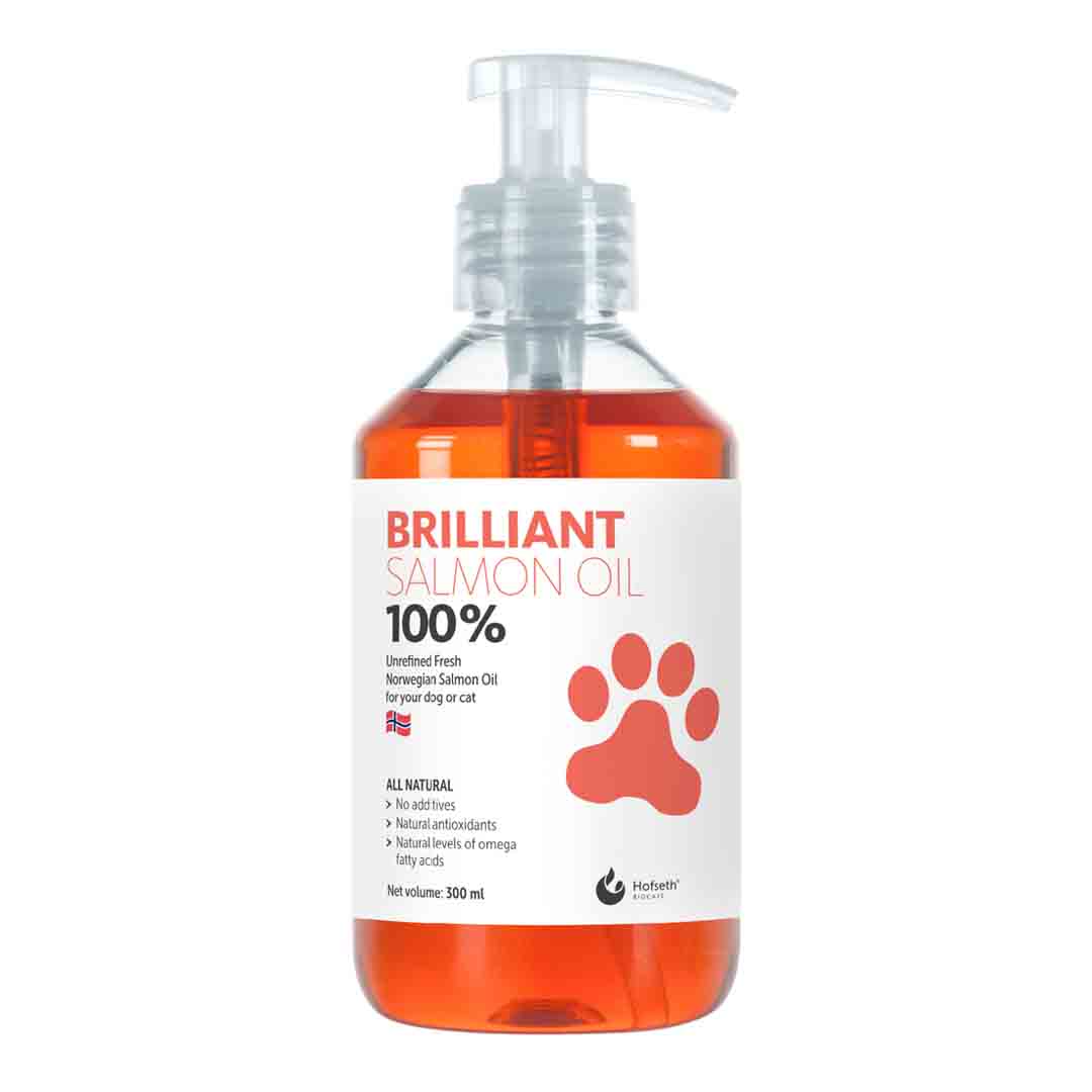 Brilliant Salmon Oil, 300ml