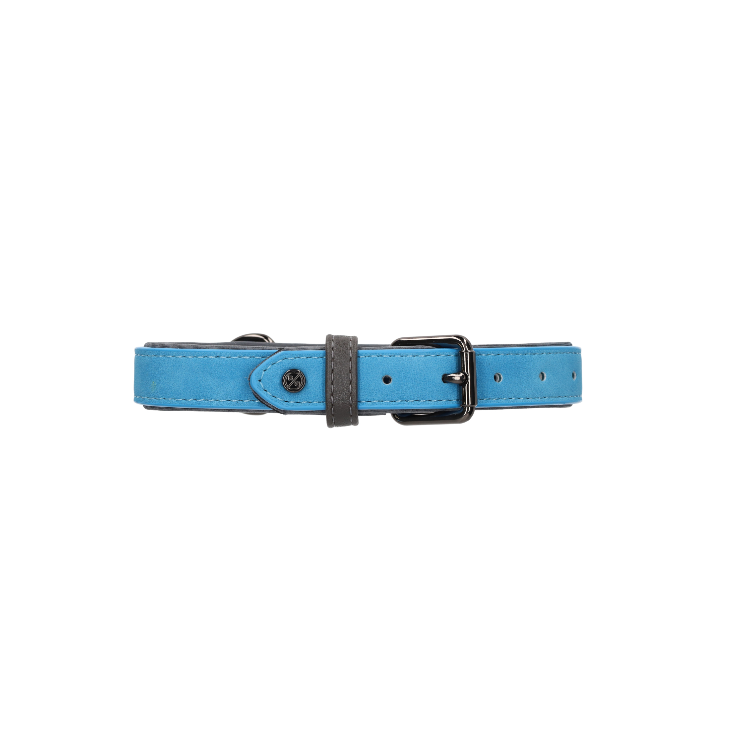 Rufus & Rosie Brights Tec Dog Collar, Blue, Small