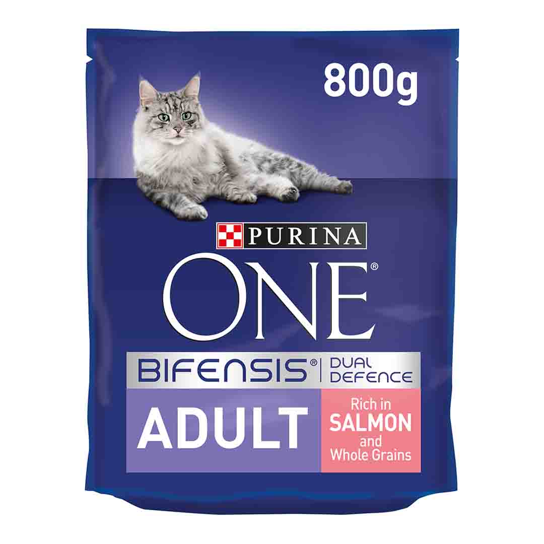 Purina ONE Adult Cat Food Rich in Salmon and Whole Grains 800g