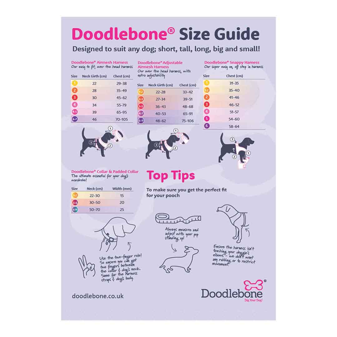 Doodlebone Airmesh Ruby Leopard Dog Harness 1