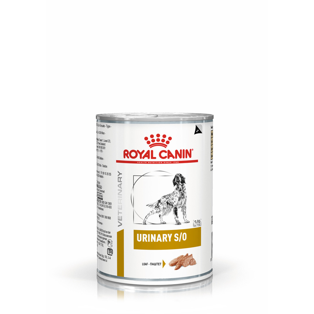 Royal Canin Urinary S/O Adult Wet Dog Food In Loaf 12x410g