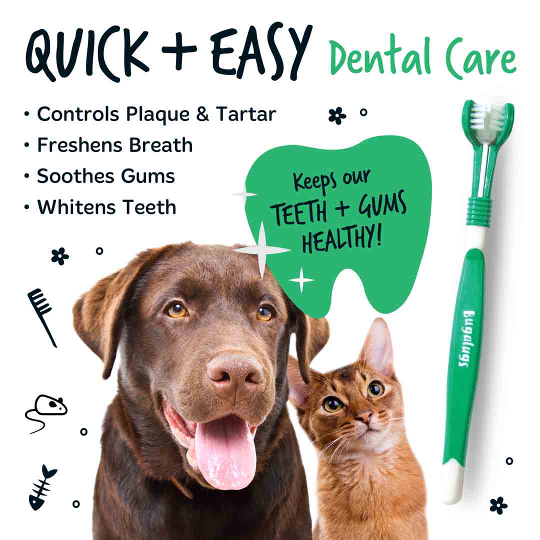 Bugalugs Triple Headed Toothbrush for Dogs