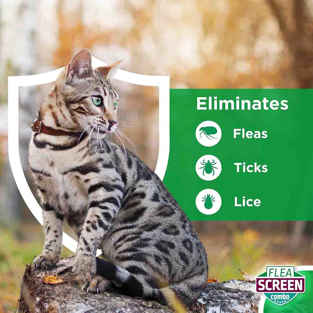Flea Screen Combo Spot-On Flea & Tick Treatment for Small Dog 2-10kg, 1 Pipettes