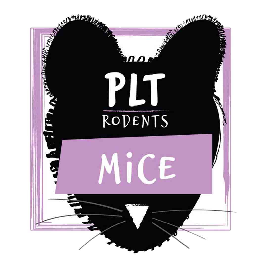 PLT Frozen Small Mice Fuzzies Reptile Food, 4g x 10 Pack