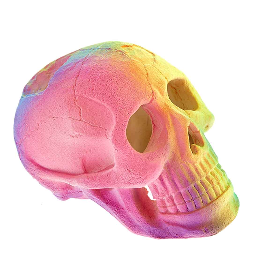 Classic Fluorescent Skeleton Aquarium Accessory, 2 Pack