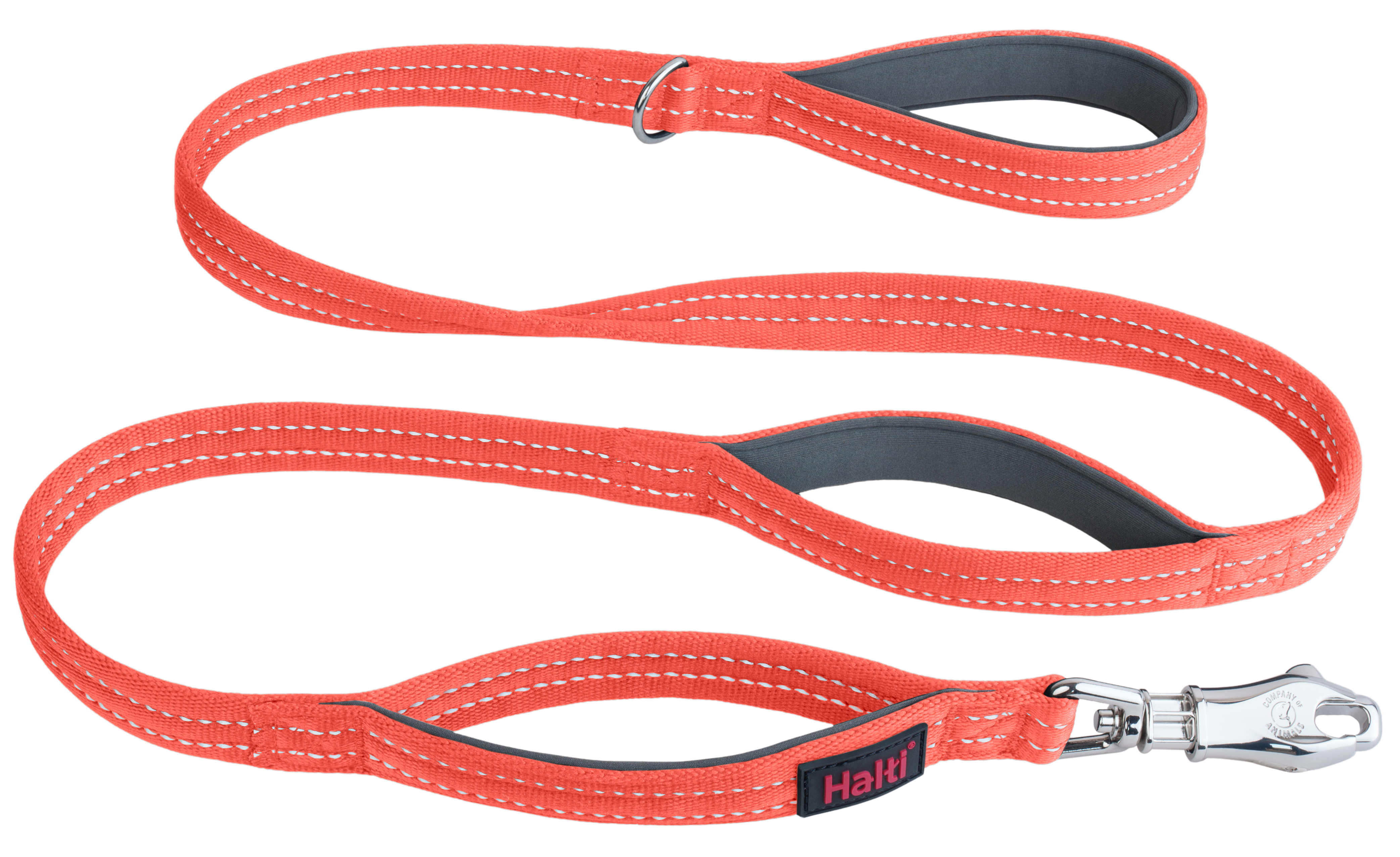 Halti BRIG Dog Safety Lead Neon Coral Large