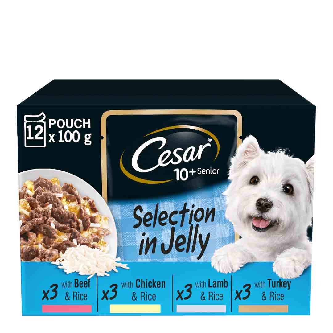 Cesar Senior 10+ Wet Dog Food Pouches Mixed Selection In Jelly 12x100g