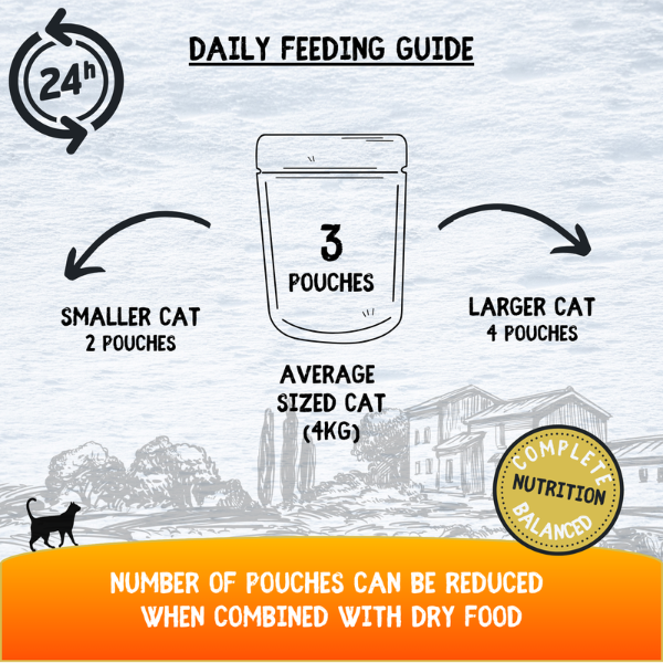 Cookhouse Luxury Complete Cat Food Chicken Breast Fillets in Jelly 70g