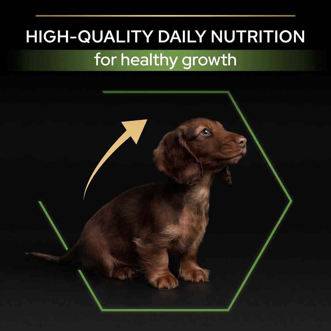 Purina Pro Plan Puppy Food Small/Mini 3kg