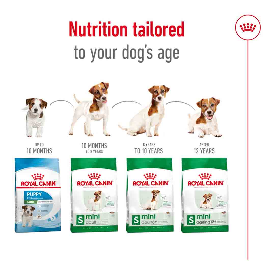 Royal Canin Dry Dog Food Mini Adult 4kg