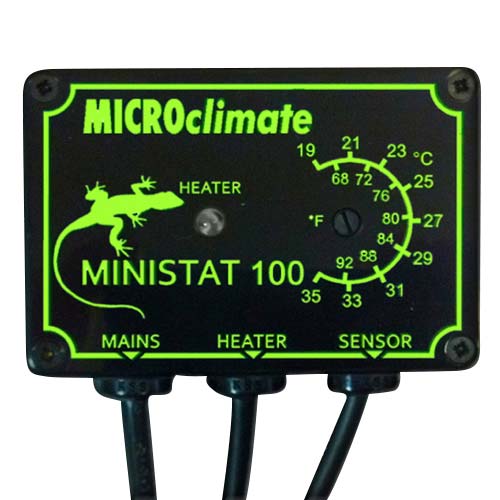 MicroClimate Ministat 100 Reptile Vivarium Thermostat