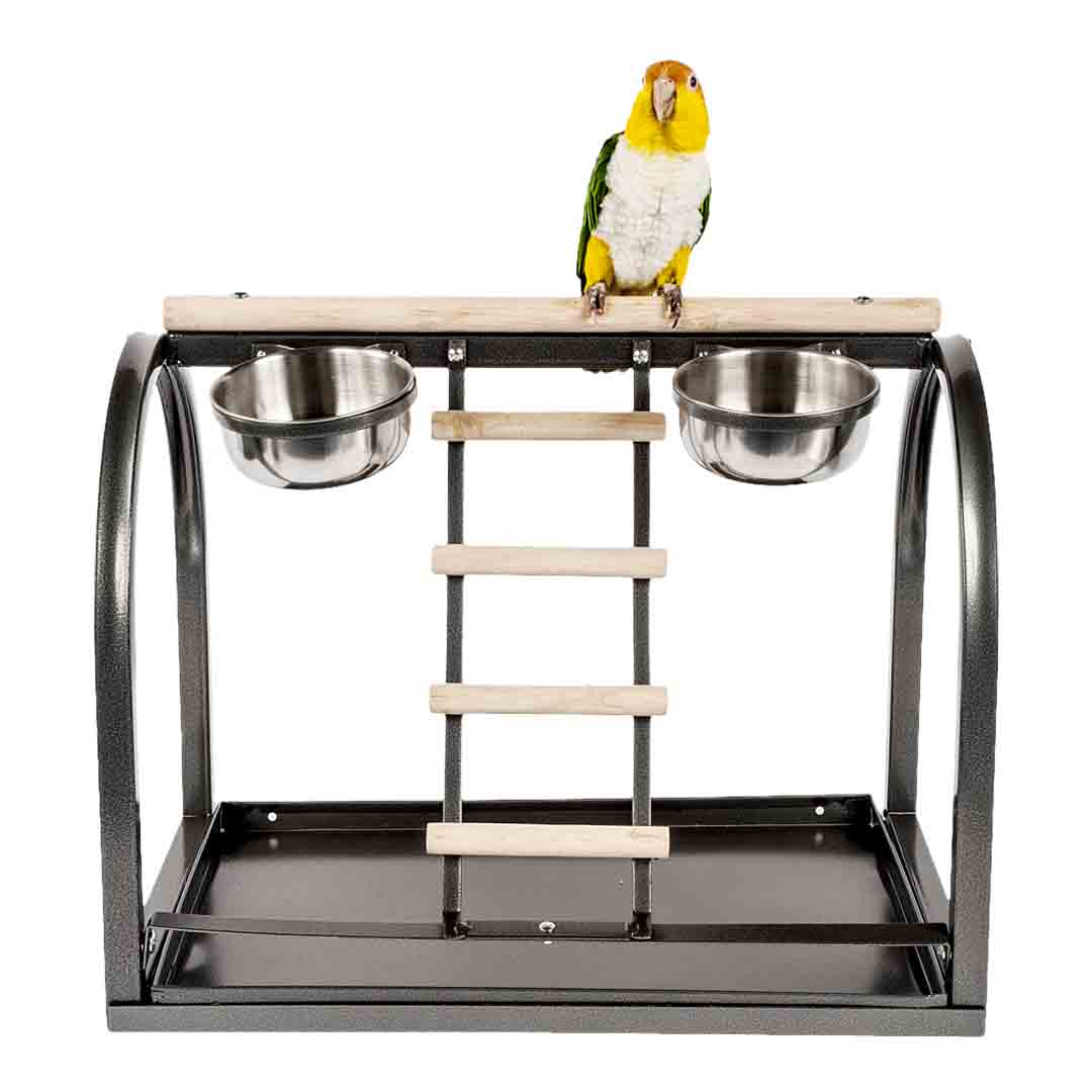 Rainforest Cages Table Top Stand
