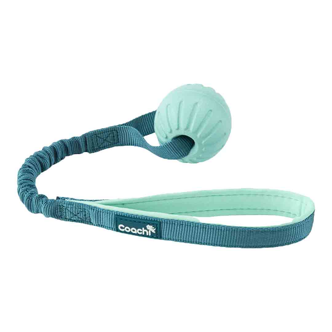 Coachi Puppy & Mini Tuggi Ball Dog Toy Teal & Mint