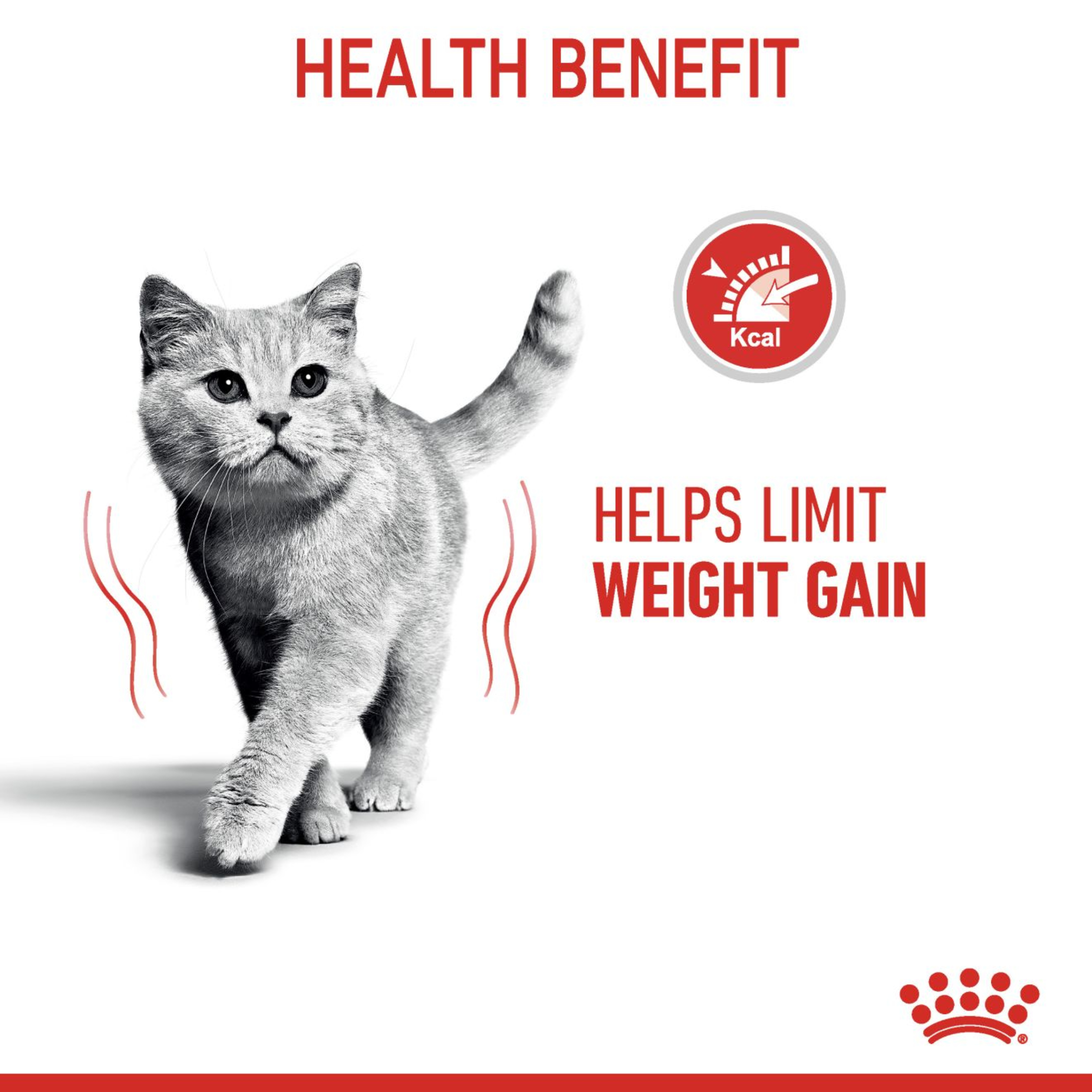 Royal Canin Lightweight Care Wet Cat Food in Gravy 48x85g