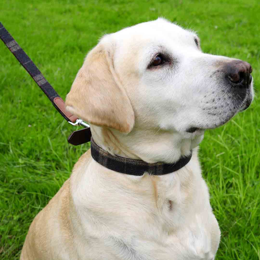 Rosewood Tweed Leather Check Dog Collar, 66cm