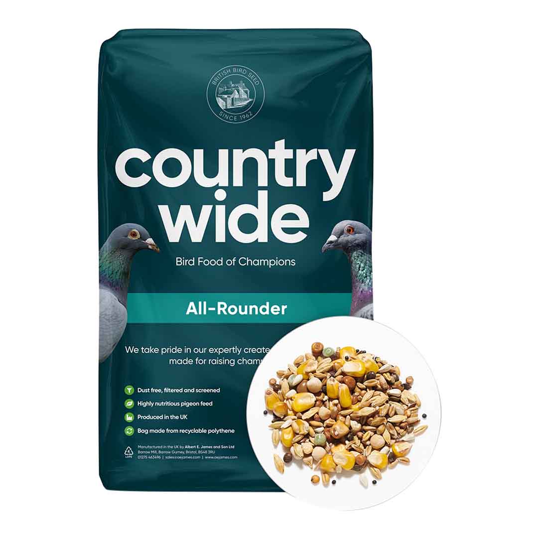 Country Wide All–Rounder Bird Food, 20kg