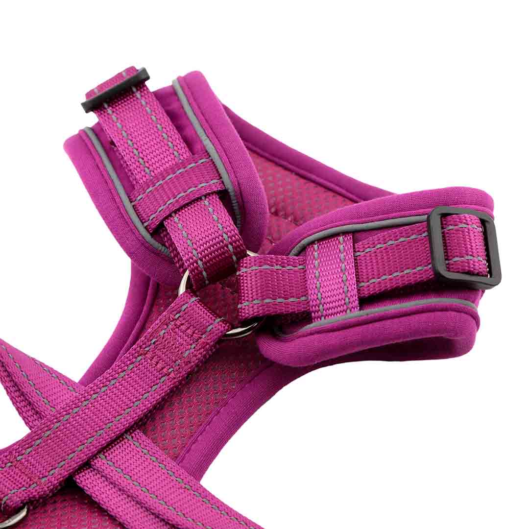 Doodlebone Trendy Tails Stomp Dog Harness Purple 2-3