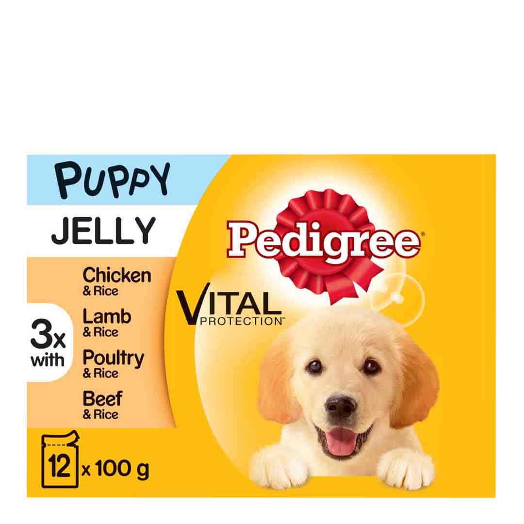 Pedigree Pouch Puppy Food in Jelly 12x100g