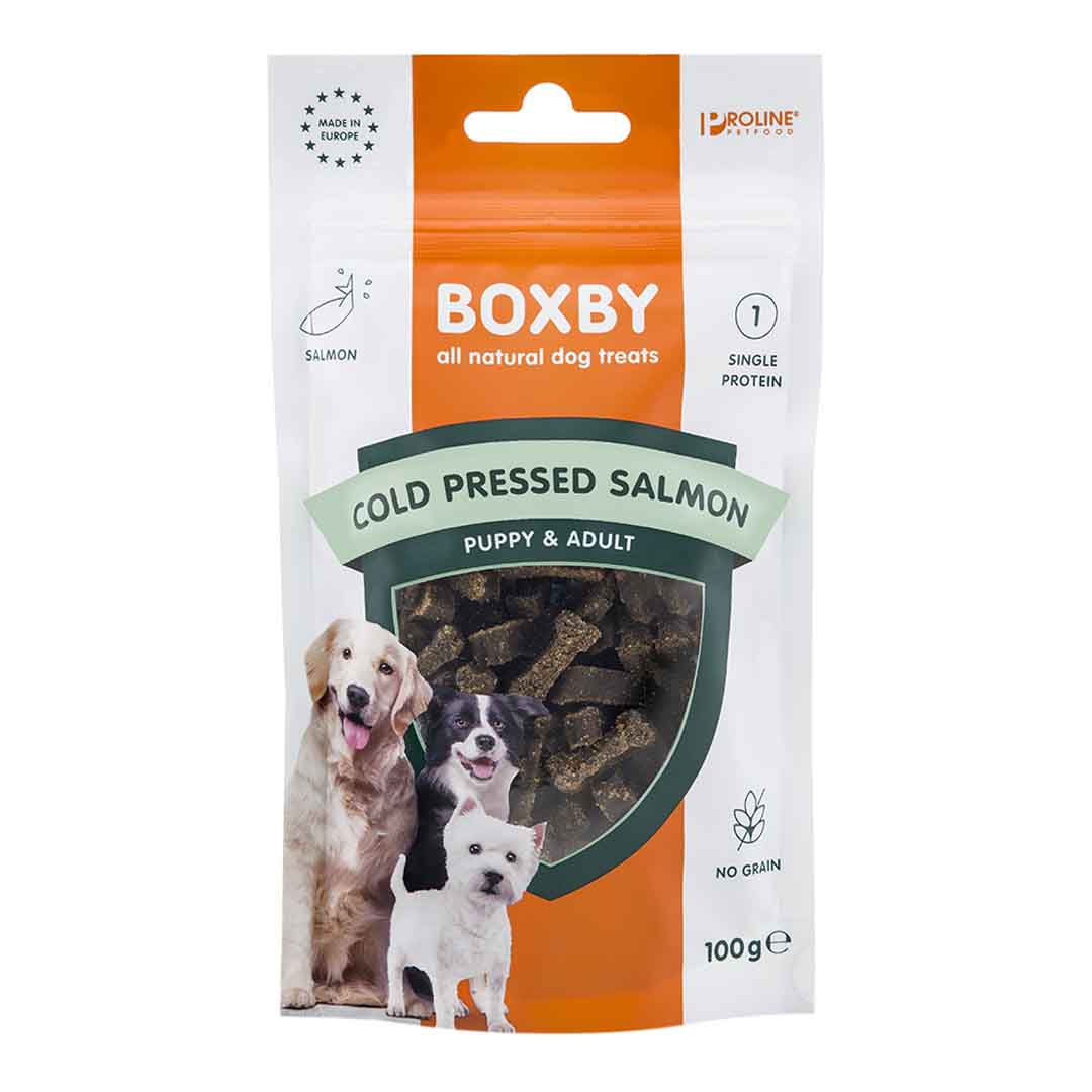 Boxby Cold Pressed Salmon Dog Treat 100G