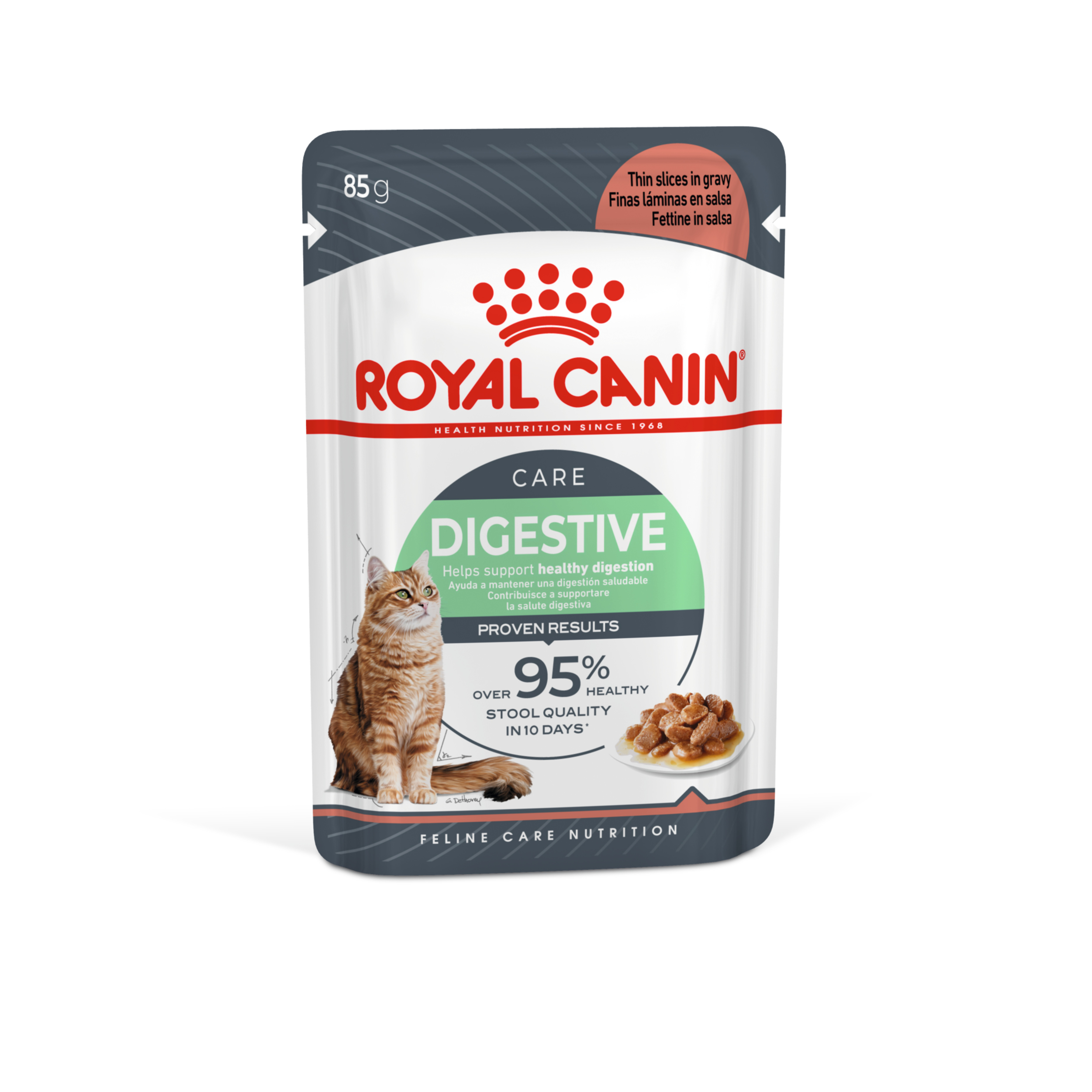 Royal Canin Digestive Care Wet Cat Food in Gravy 48x85g
