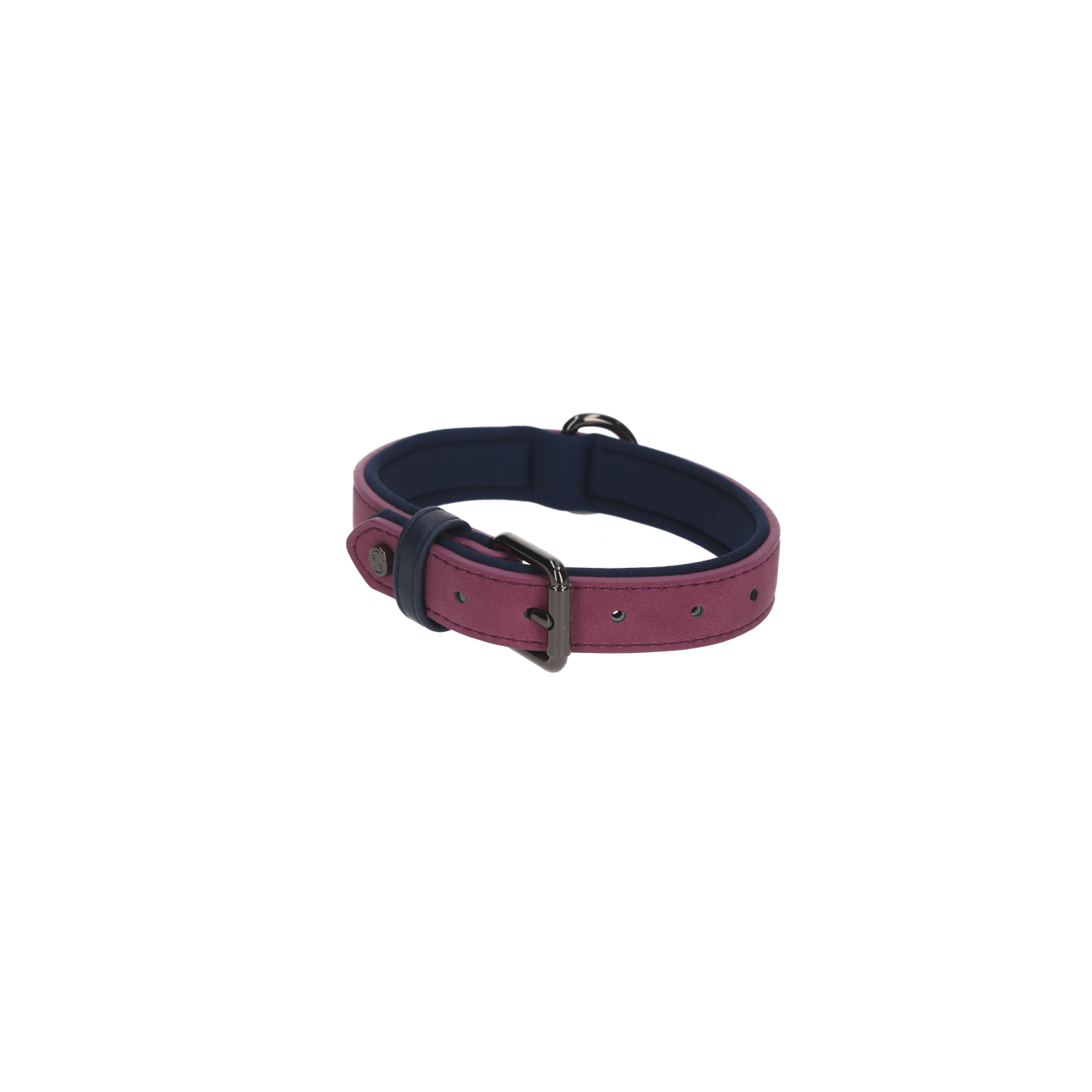Rufus & Rosie Sotnos Brights Tech Small Dog Collar, Purple