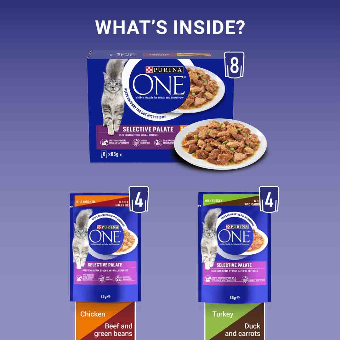 PURINA ONE Mini Fillets Selective Palate Wet Cat Food 8x85g