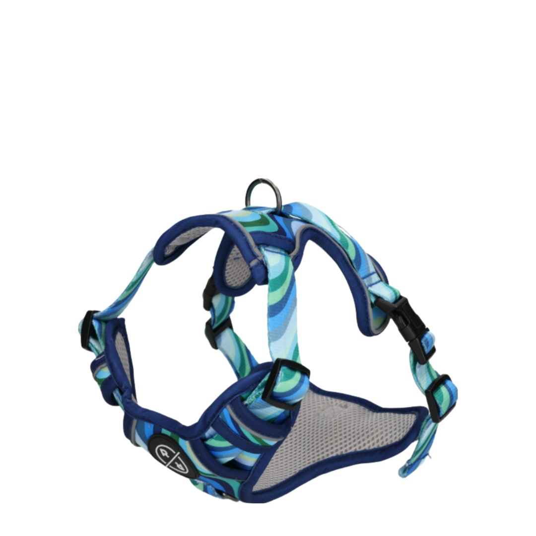 Rufus & Rosie Dog Harness & Lead Set Blue Wave, Small