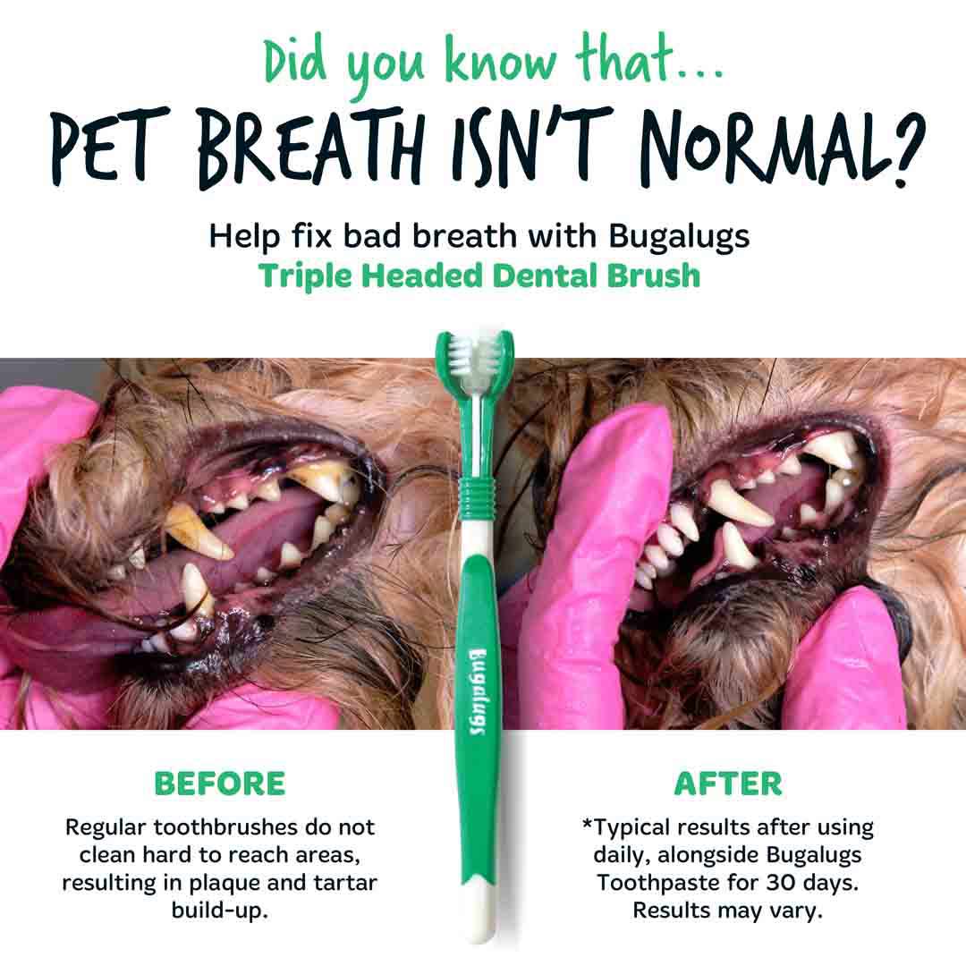 Bugalugs Triple Headed Toothbrush for Dogs