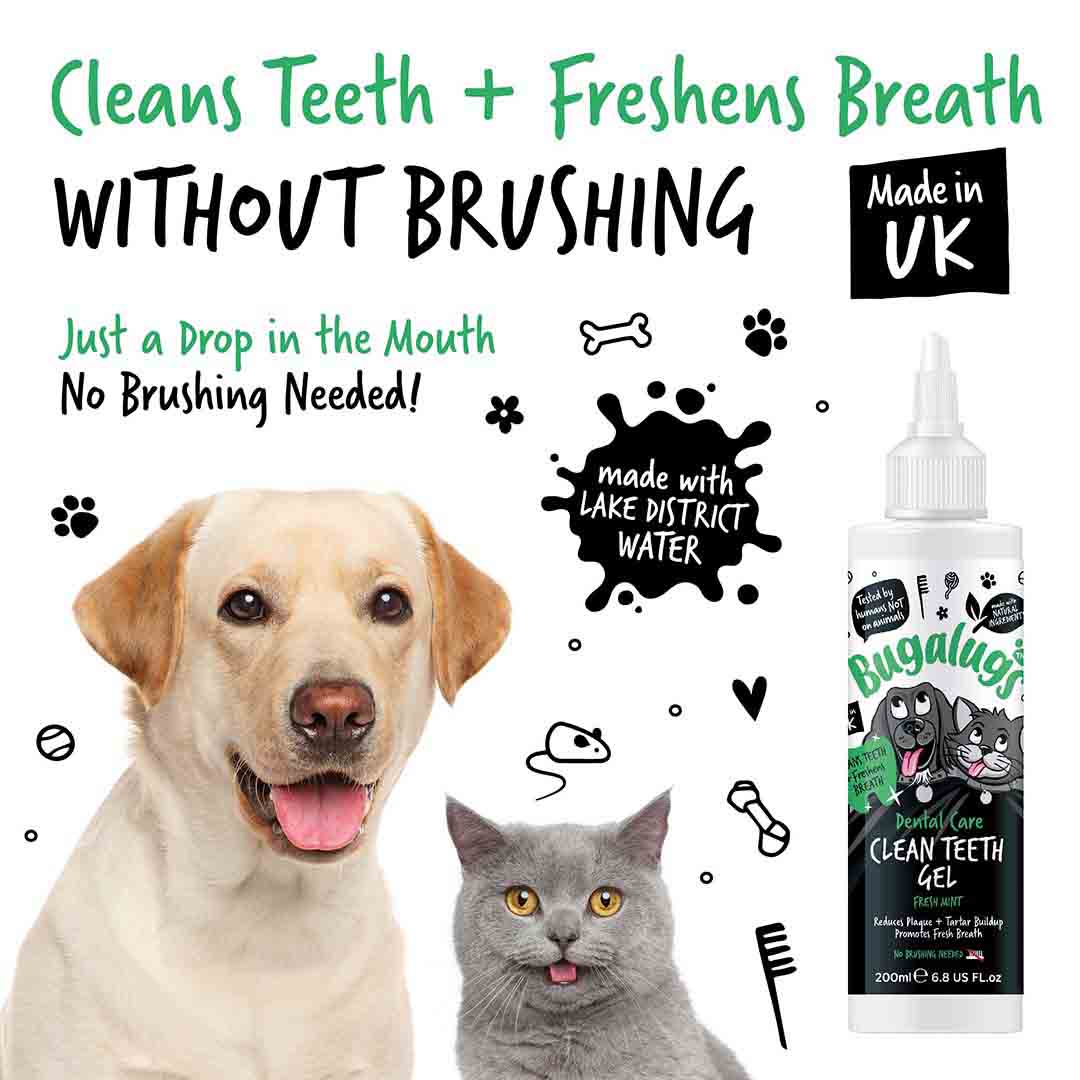 Bugalugs Dog & Cat Dental Gel 200ml