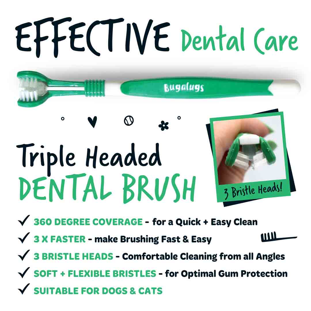 Bugalugs Triple Headed Toothbrush for Dogs