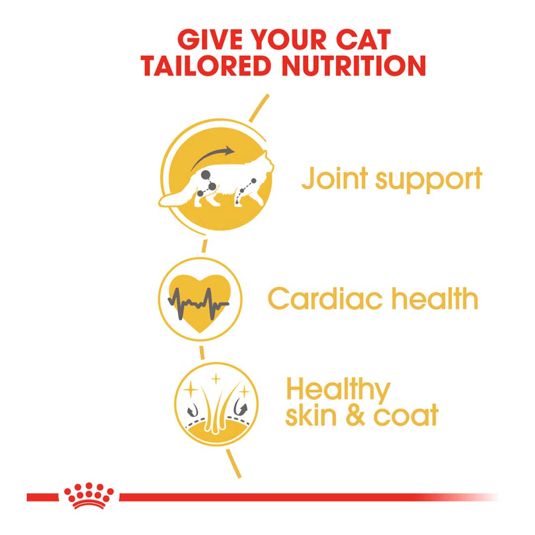 Royal Canin Maine Coon 31 Dry Cat Food 2kg