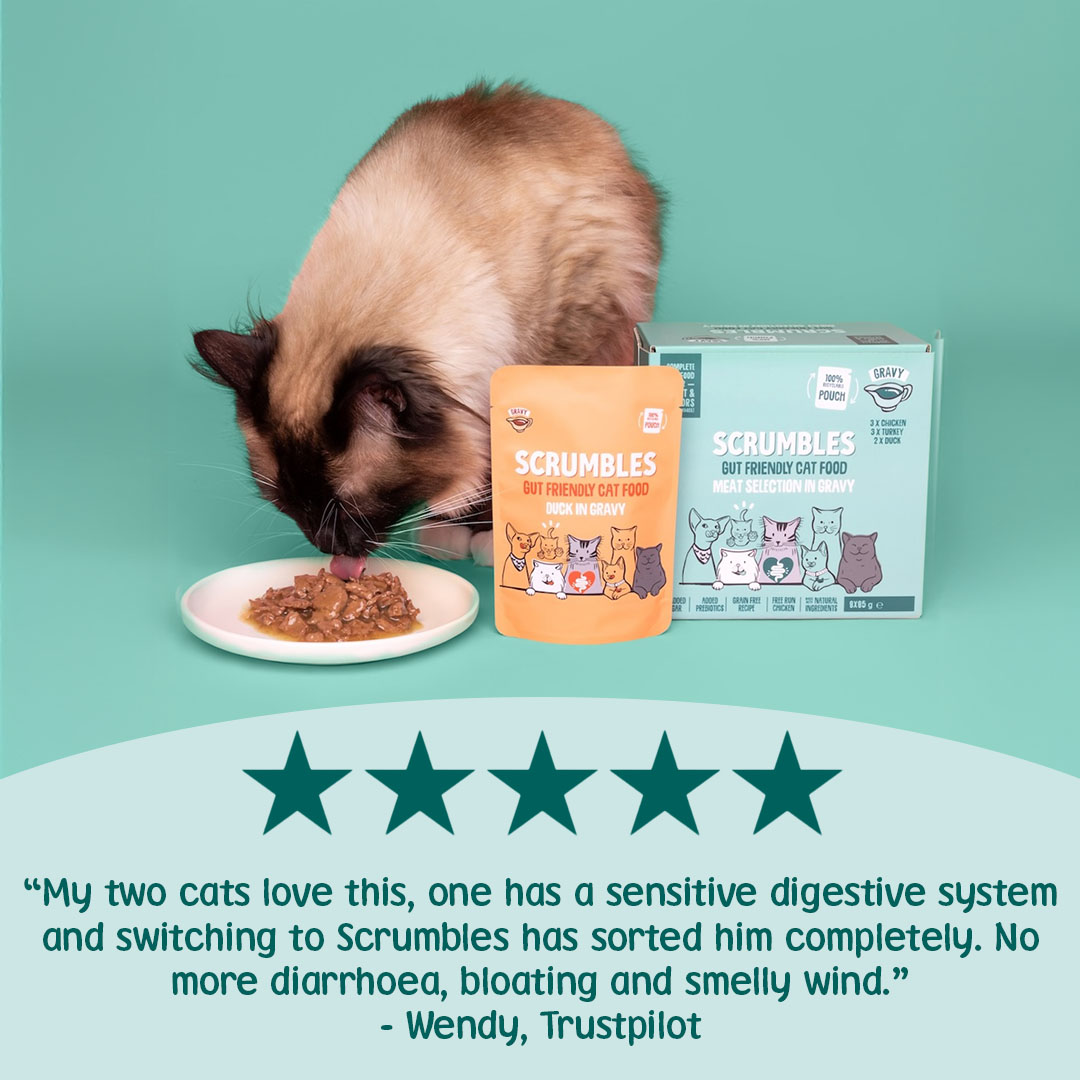 Scrumbles Grain Free Wet Cat Gravy Recyclable Pouch Selection 8x85g
