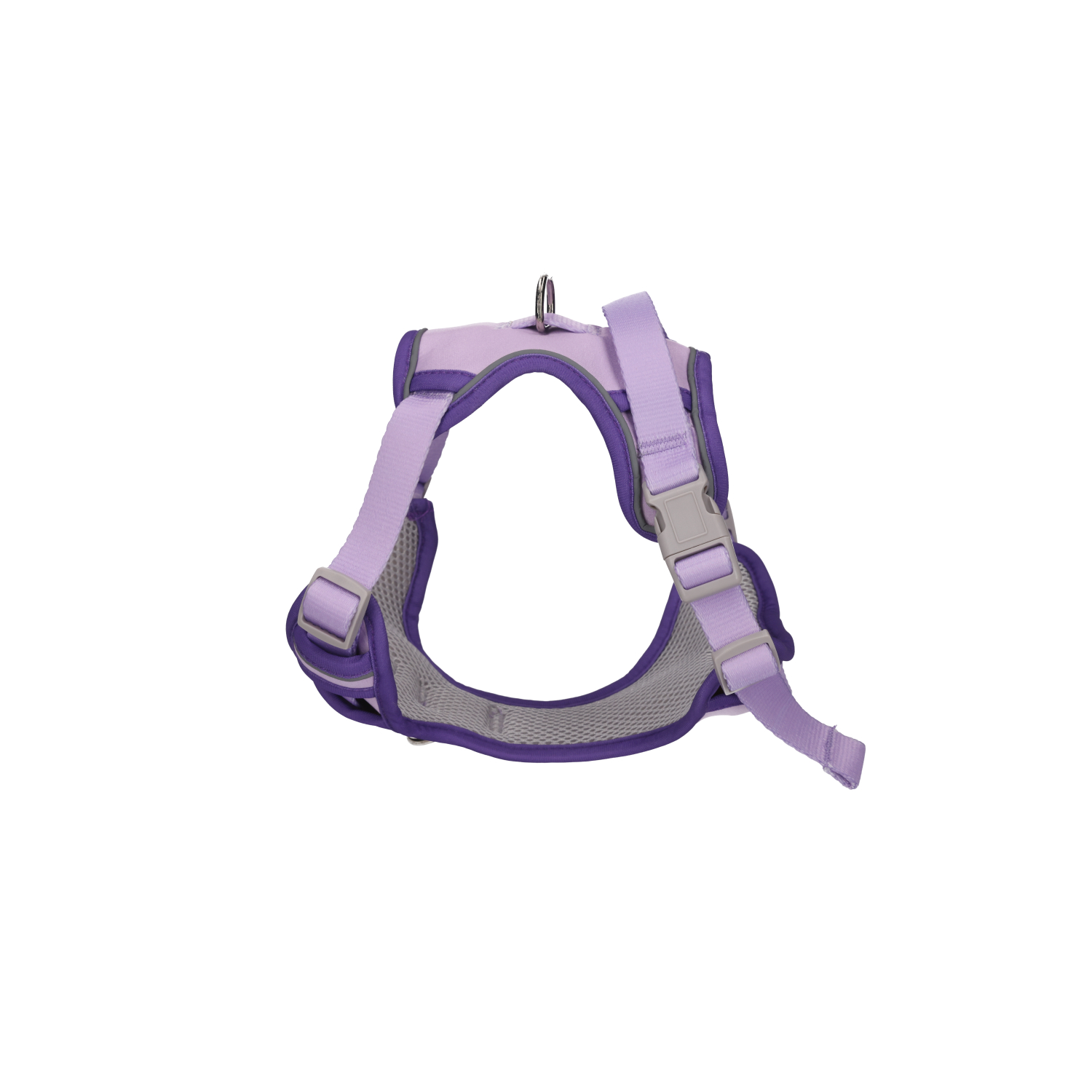 Rufus & Rosie Lilac Dog Harness & Lead Set, Extra Small