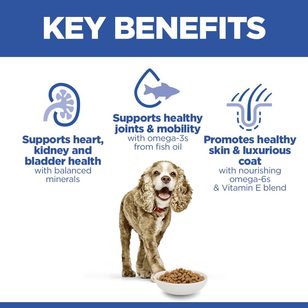 Hill's Science Plan Senior Small & Mini Dry Dog Food Chicken Flavour 1.5kg