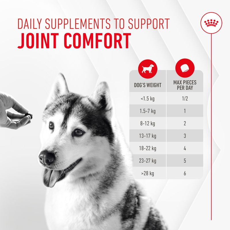 Royal Canin Dog Supplement for Joint & Ageing Soft Chews