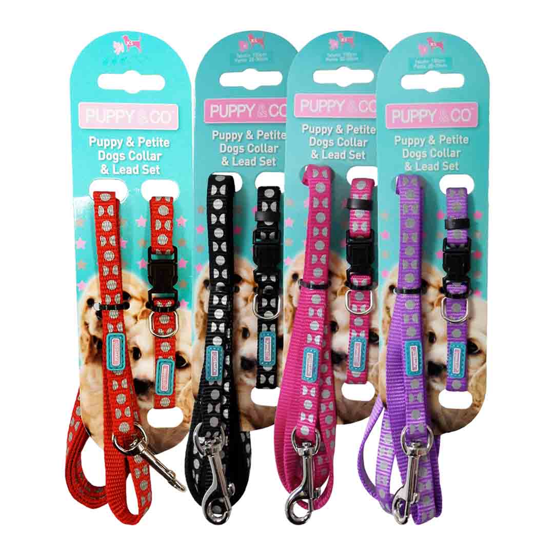 Hem & Boo Small Dog Reflective Dots Lead and Collar Set