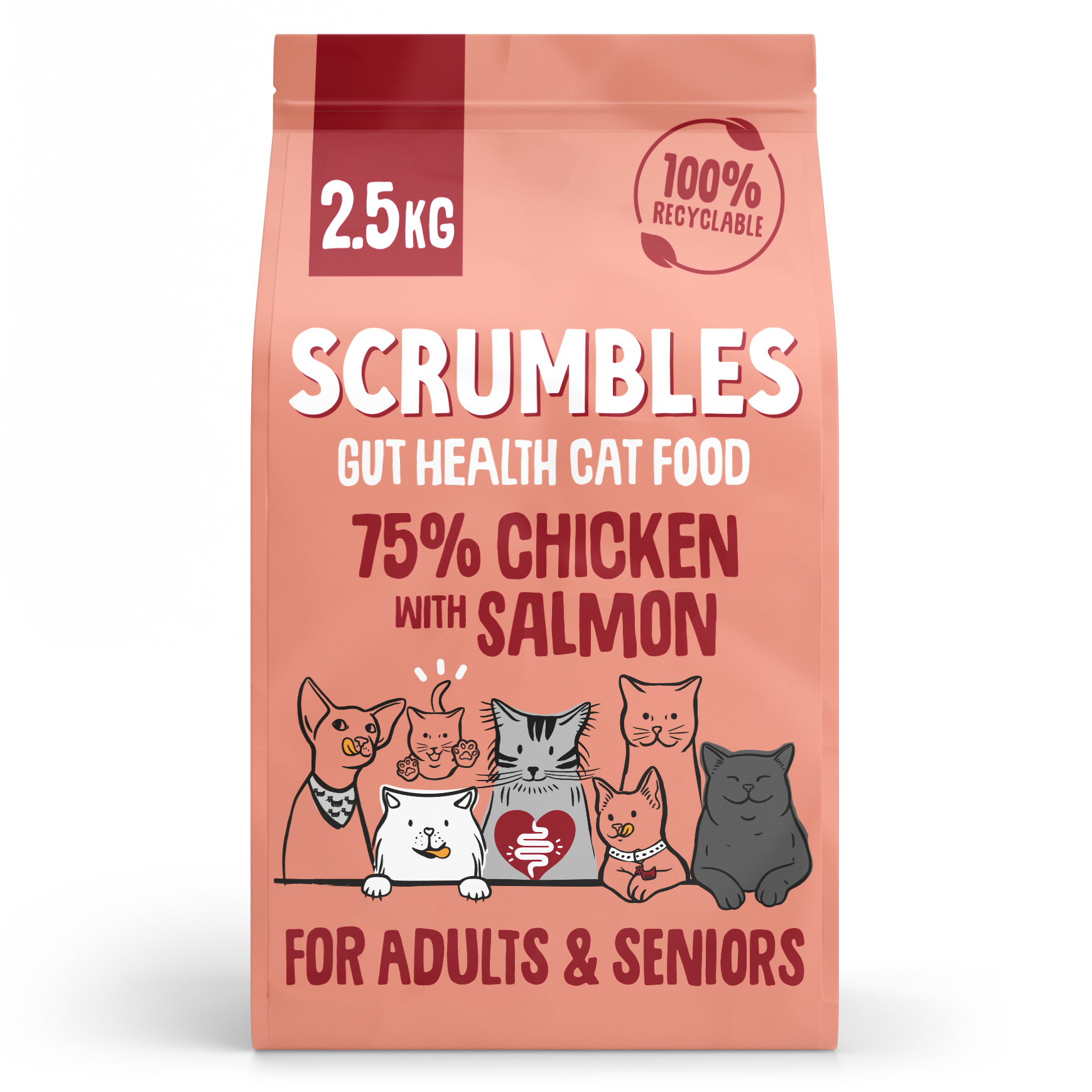 Scrumbles Dry Cat Food for Adult & Seniors Salmon 2.5kg