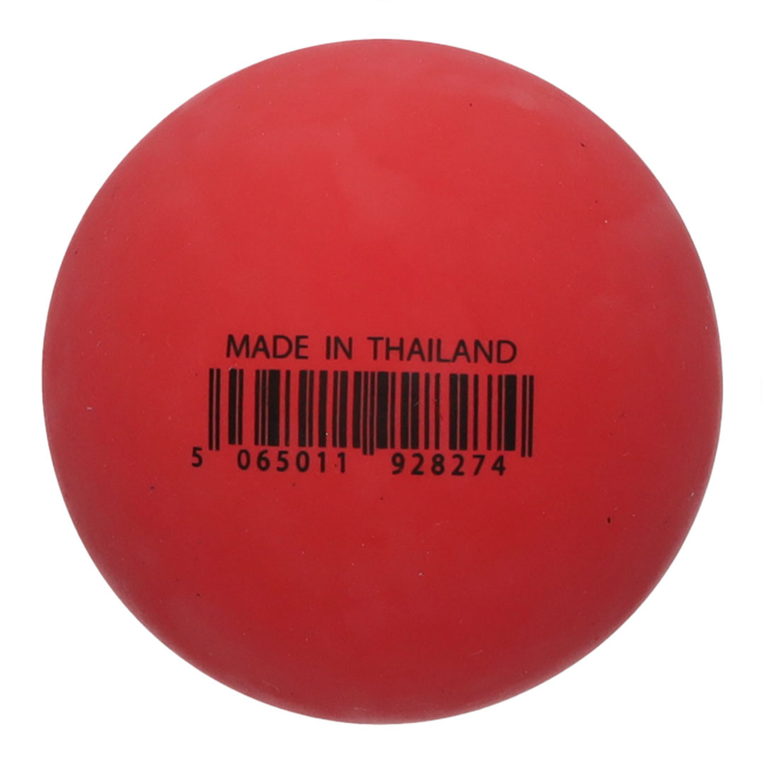 SPORTSPET High Bounce Dog Ball