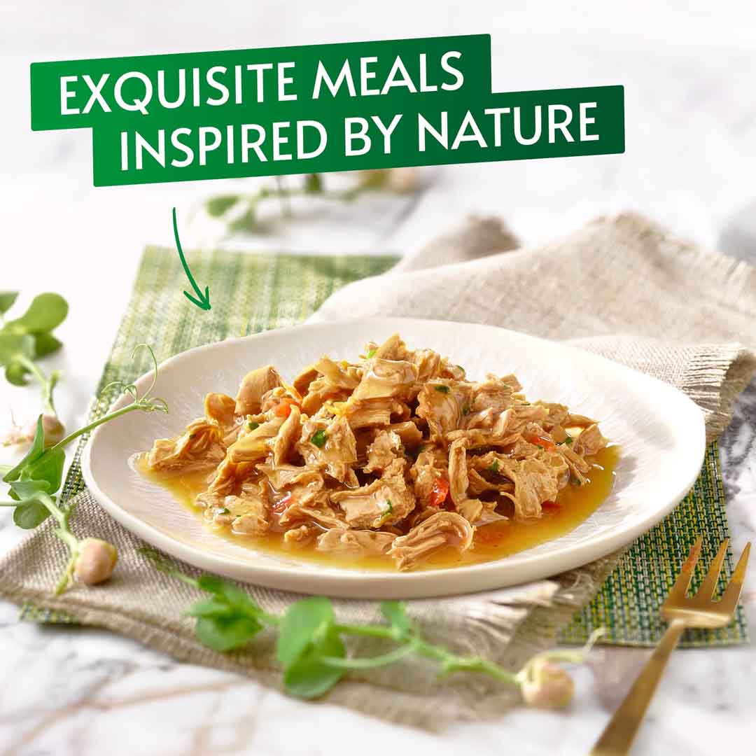 Gourmet Nature's Creations Cat Food Chicken 85g