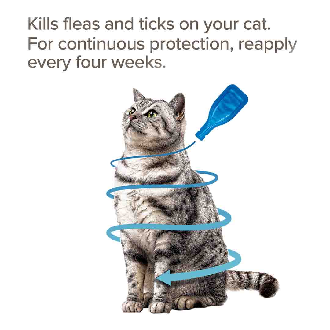 Beaphar FIPROtec Spot-On Flea & Tick Treatment for Cats, 4 Pipettes