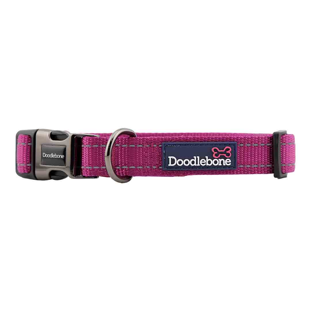 Doodlebone Trendy Tails Padded Dog Collar Purple 1-2
