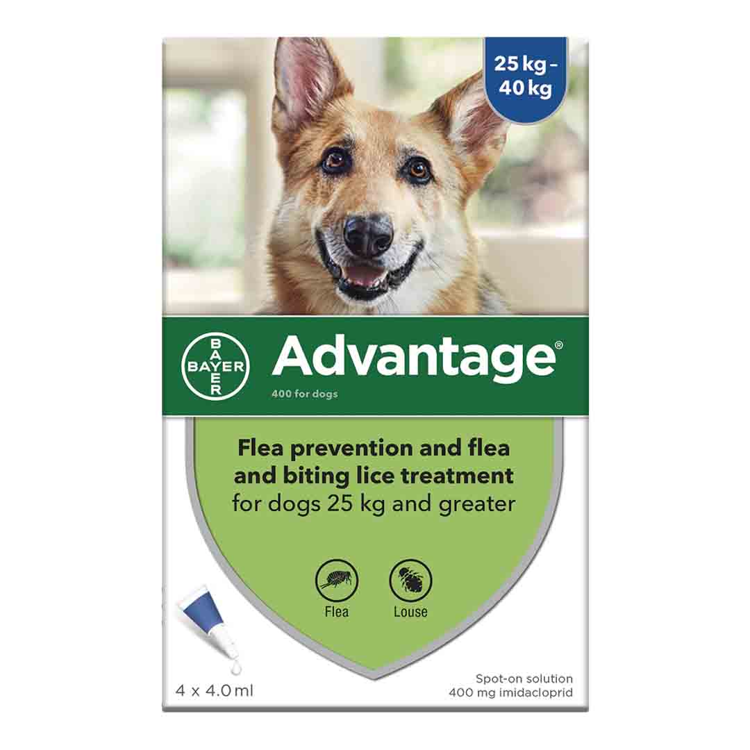 Advantage Spot-On Flea 400 Flea Treatment For Large Dogs 25kg-40kg, 4 Pipettes