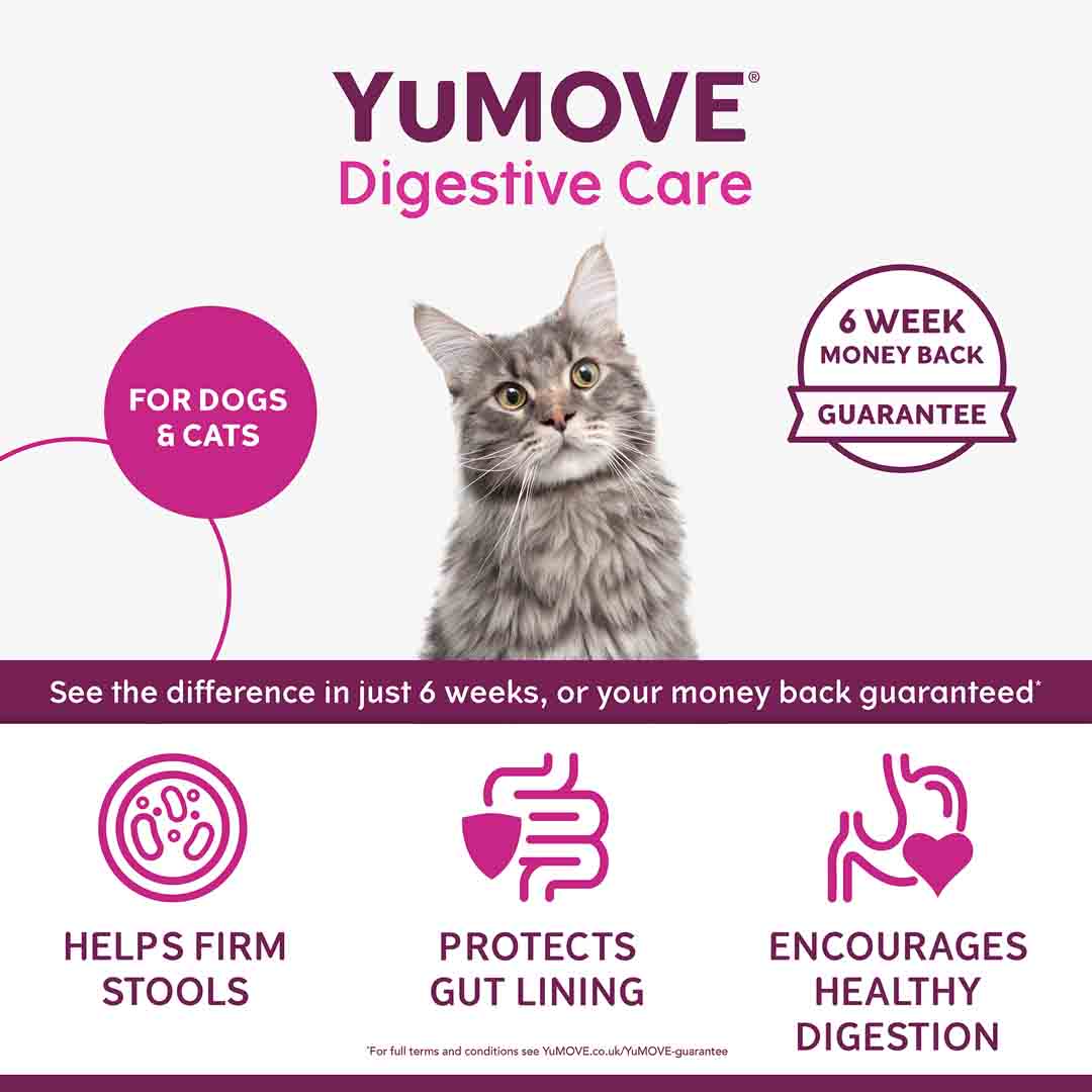 YuMove Digestive Care, 6 Sachets