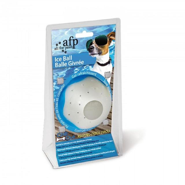 All For Paws Chill Out Ice Ball Dog Toy Large