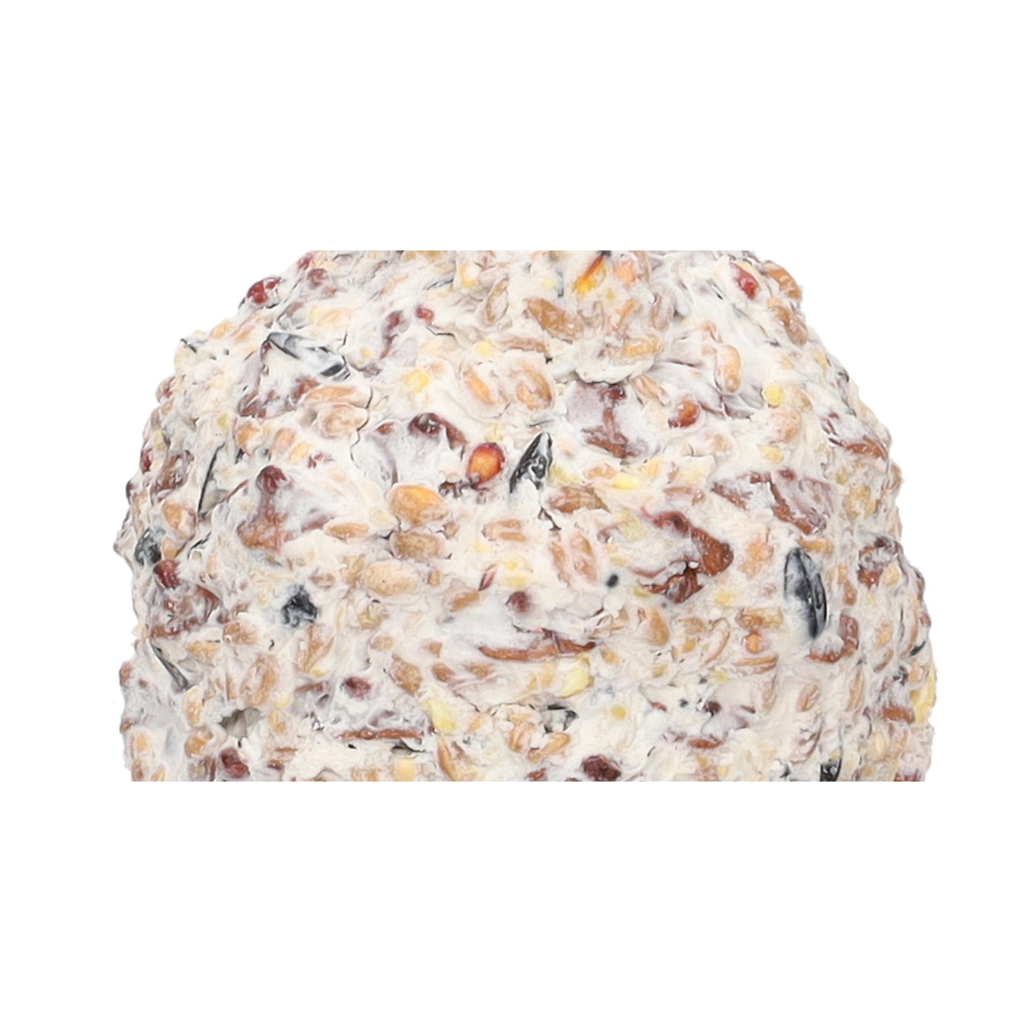 The Wild Bird Care Company Giant Suet Bird Food Cone