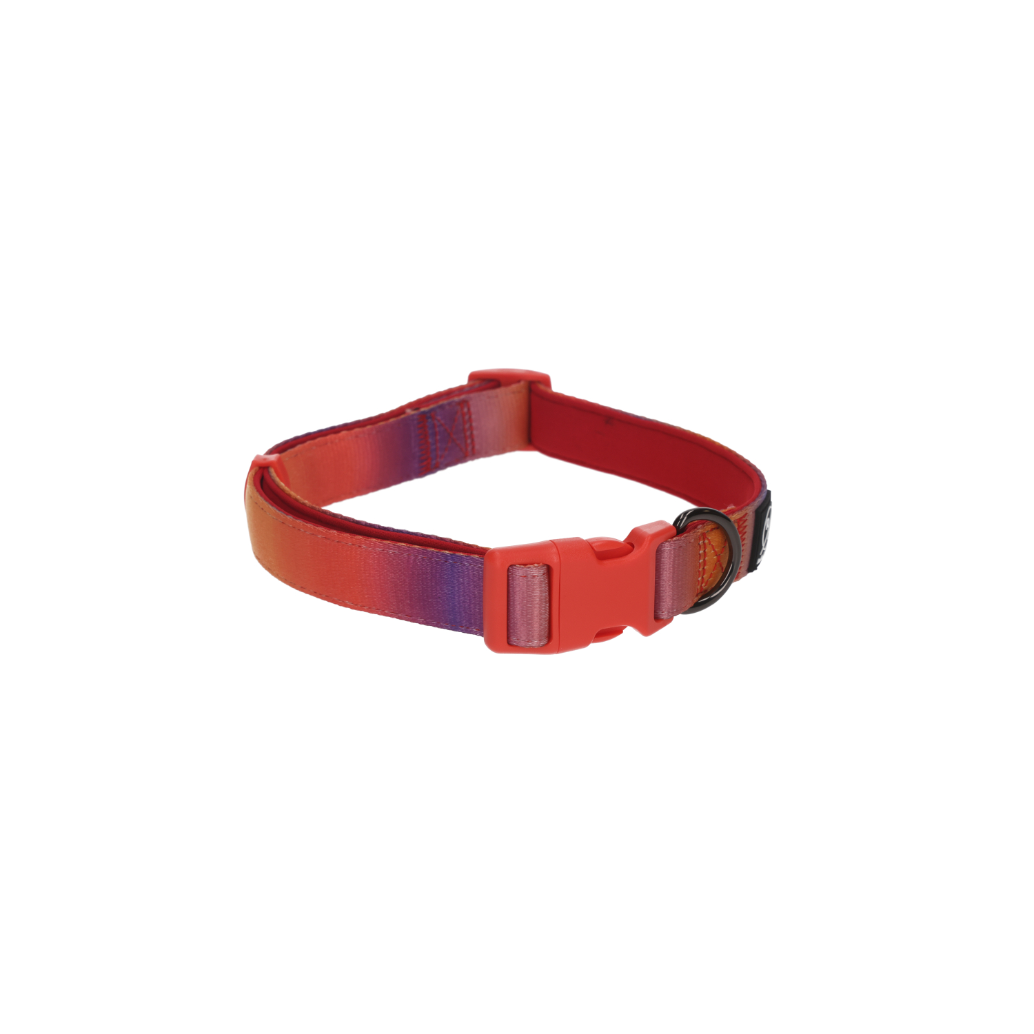 Rufus & Rosie Ombre Adjustable Dog Collar, Medium