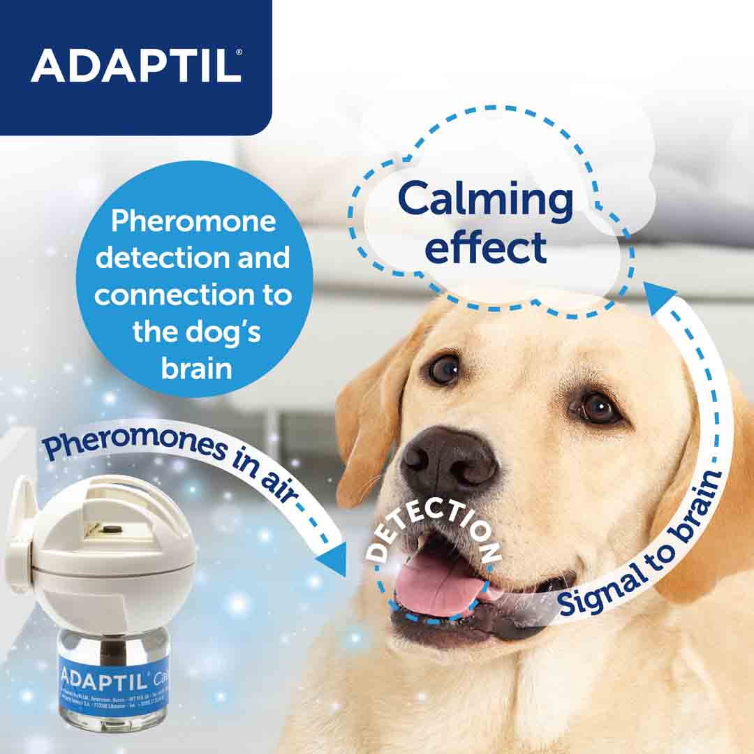 ADAPTIL Calm Home Diffuser 3X Refill Value Pack (48ml)